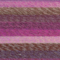 Lion Brand Yarn Ferris Wheel 3 Pack: Wild Violets