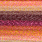 Lion Brand Yarn Ferris Wheel 3 Pack: Wild Violets