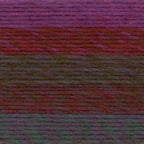 Lion Brand Yarn Ferris Wheel 3 Pack: Pink Marmalade